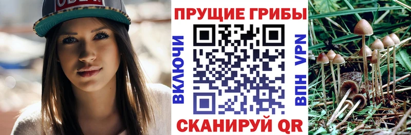 Галлюциногенные грибы мухоморы  сколько стоит  Городовиковск 